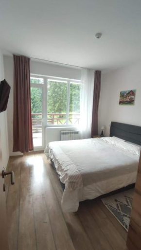 Sun Stream Apartment Pamporovo